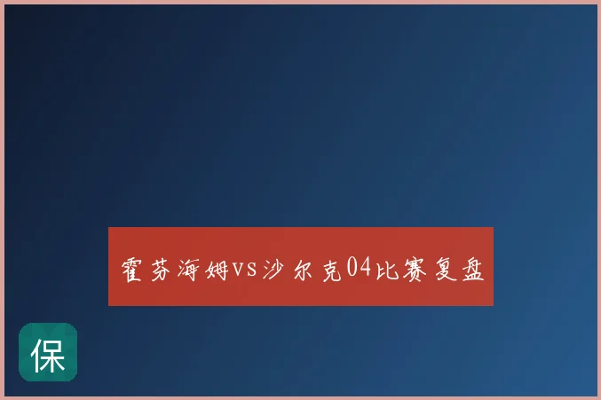 霍芬海姆vs沙尔克04比赛复盘